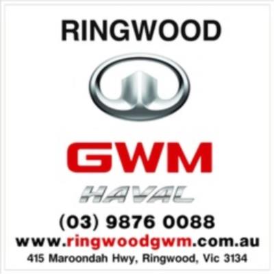 2025 GWM Cannon Premium Traytop NPW for sale in Ringwood