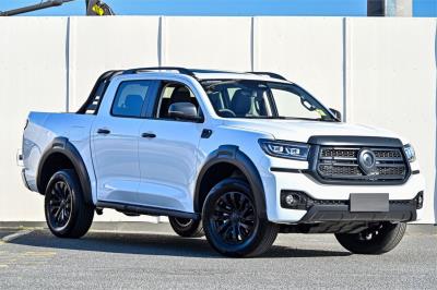2025 GWM Cannon Vanta Utility NPW for sale in Ringwood