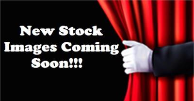 2023 MERCEDES-BENZ GLE 300 d 4MATIC 4D WAGON V167 MY23 for sale in North West