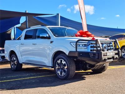 2022 GWM Ute Cannon-X Utility NPW for sale in Blacktown