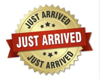 2006 CHRYSLER 300C 5.7 HEMI V8 4D SEDAN LE MY06 for sale in Sydney - Outer West and Blue Mtns.