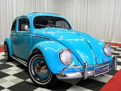 1966 Volkswagen Beetle IN AUCTION AT LLOYDS Hatch for sale in Carrara